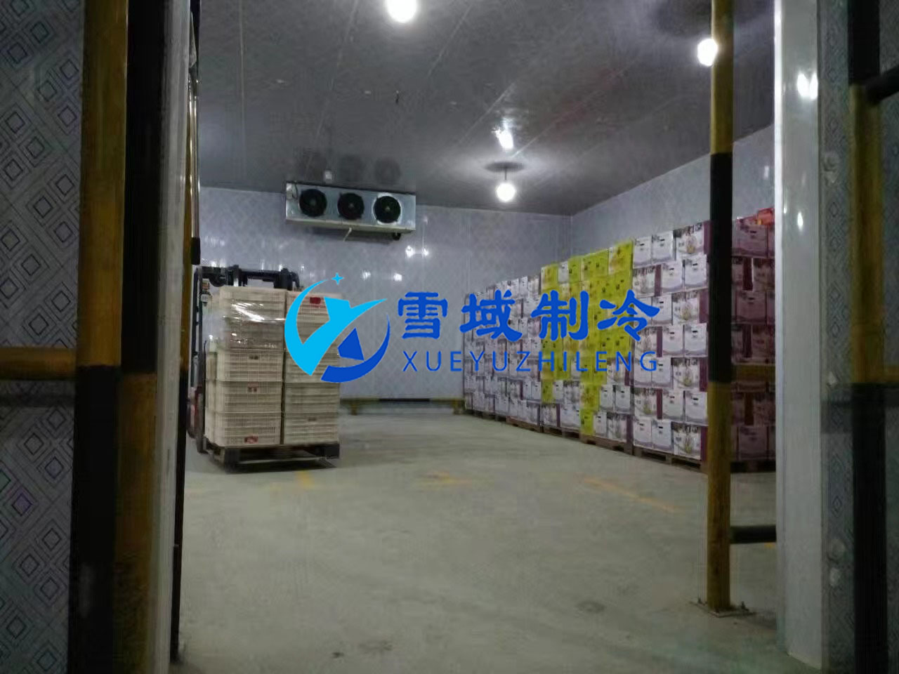 南京某水果公司水果冷庫現(xiàn)場圖片 南京某水果公司水果冷庫現(xiàn)場圖片