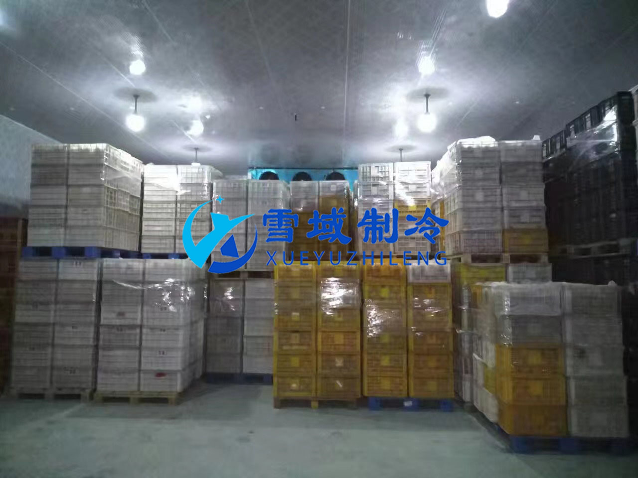 南京某水果公司水果冷庫現(xiàn)場圖片 南京某水果公司水果冷庫現(xiàn)場圖片