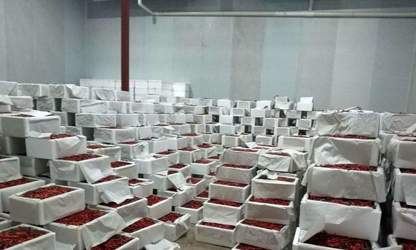 南京辣椒冷庫保鮮用什么技術(shù)方法 南京辣椒冷庫保鮮用什么技術(shù)方法