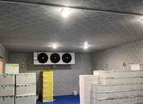 房屋內(nèi)建冷庫和噴涂建冷庫的注意事項 房屋內(nèi)建冷庫和噴涂建冷庫的注意事項