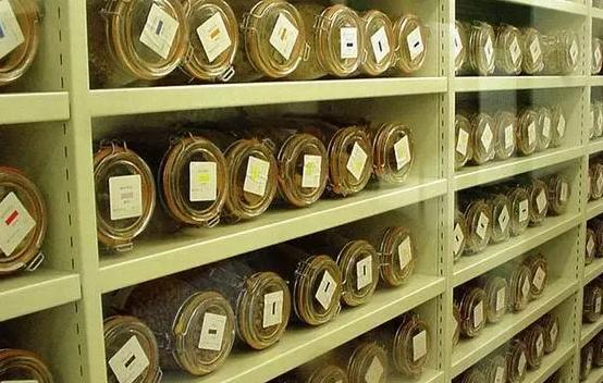 安裝500平米科研種子冷庫費用是多少？