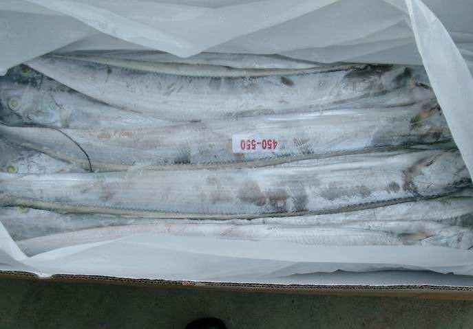 北京建造一個100平米魚類冷凍庫多少錢 北京建造一個100平米魚類冷凍庫多少錢