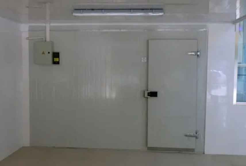 建個(gè)菠蘿水果冷庫(kù)要多少錢(qián) 建個(gè)菠蘿水果冷庫(kù)要多少錢(qián)