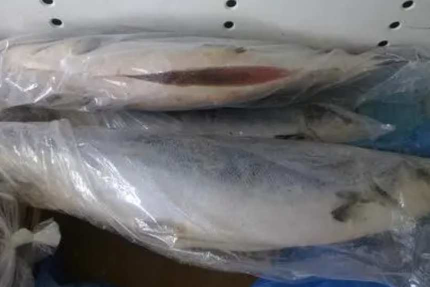 三文魚(yú)存儲(chǔ)在冷藏庫(kù)溫度多少度適宜 三文魚(yú)存儲(chǔ)在冷藏庫(kù)溫度多少度適宜