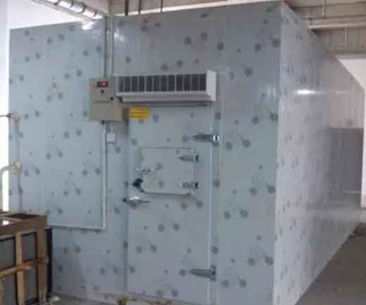 家用小型冷庫(kù)一個(gè)需要多少錢 家用小型冷庫(kù)一個(gè)需要多少錢