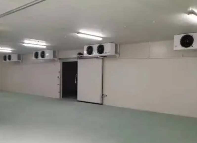 大蒜1000噸冷庫造價多少錢 大蒜1000噸冷庫造價多少錢