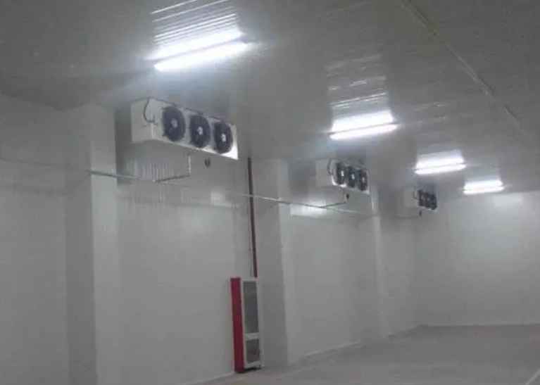 大蒜1000噸冷庫造價多少錢 大蒜1000噸冷庫造價多少錢