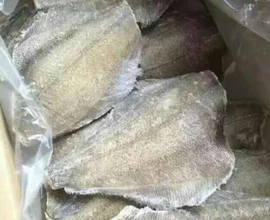 安裝50平米凍魚冷凍冷庫價(jià)格多少錢 安裝50平米凍魚冷凍冷庫價(jià)格多少錢