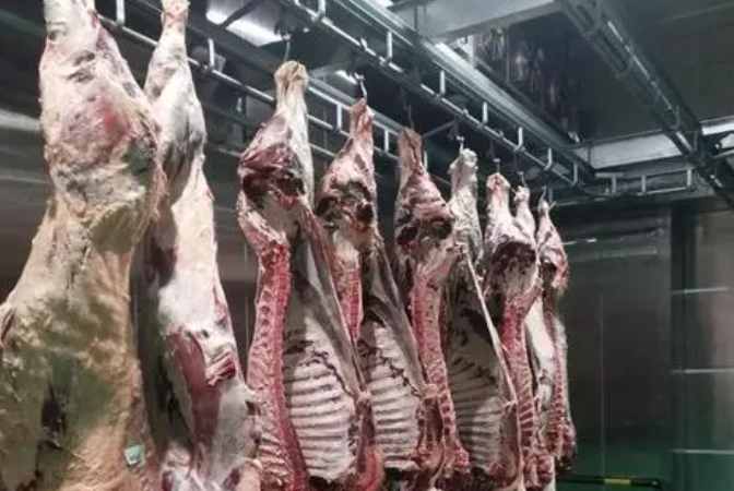 肉類(lèi)排酸冷庫(kù)溫度及技術(shù)要求 肉類(lèi)排酸冷庫(kù)溫度及技術(shù)要求