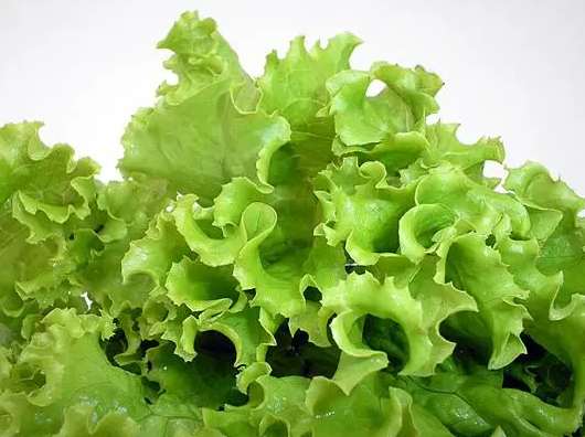 1000立方蔬菜保鮮庫(kù)造價(jià)多少錢  1000立方蔬菜保鮮庫(kù)造價(jià)多少錢