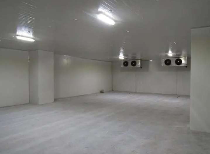 建一個帶魚冷凍庫需要多少錢 建一個帶魚冷凍庫需要多少錢