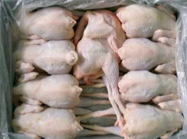 雞肉在冷凍庫里可以放多久 雞肉在冷凍庫里可以放多久