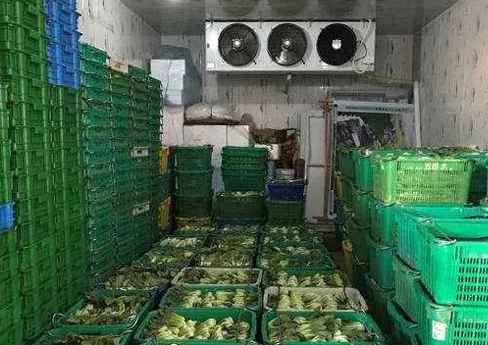蘇州蔬菜氣調(diào)冷庫大概多少錢 蘇州蔬菜氣調(diào)冷庫大概多少錢