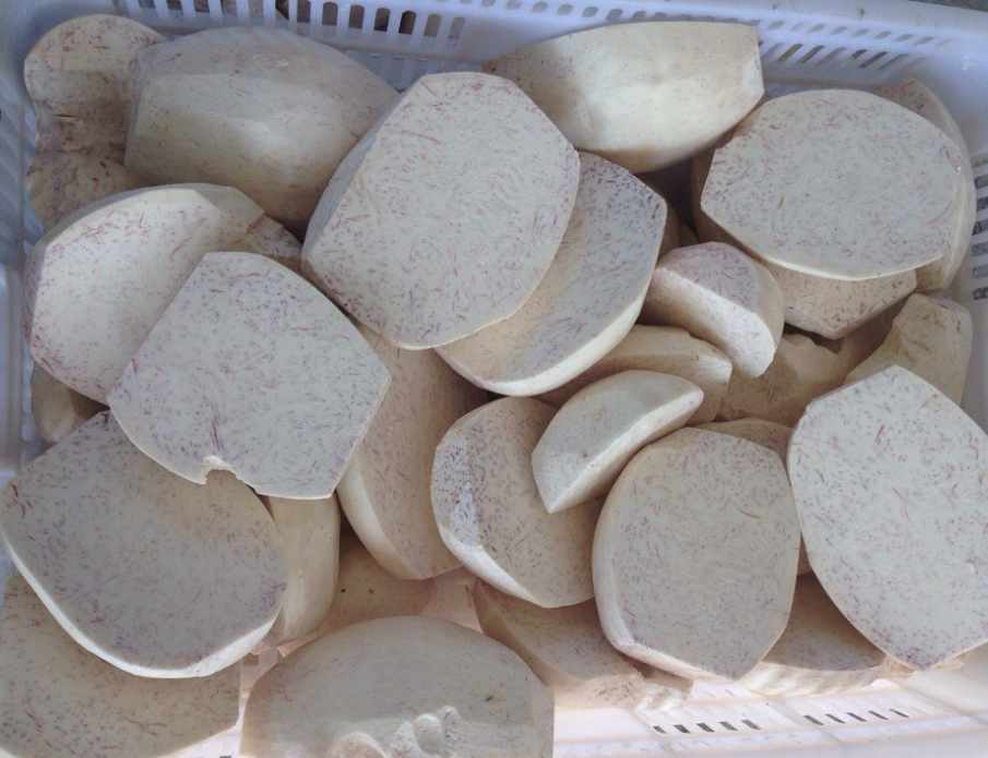 芋頭速凍冷庫可以存儲多久？
