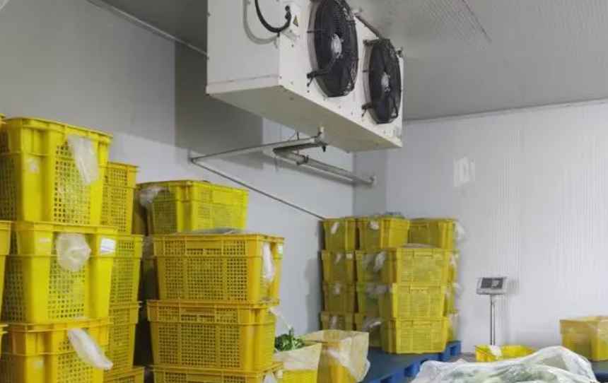 建造水果氣調(diào)冷庫要多少錢 建造水果氣調(diào)冷庫要多少錢