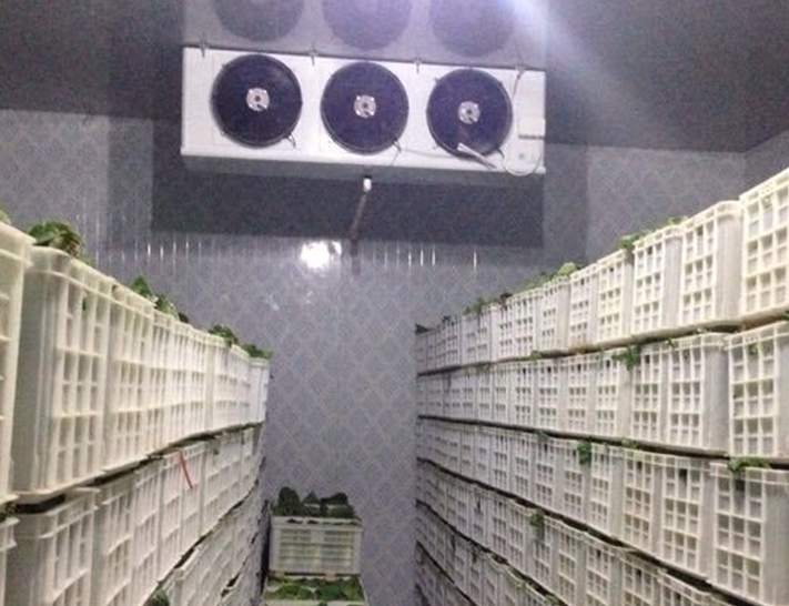 蔬菜冷庫造價多少一平方米 蔬菜冷庫造價多少一平方米