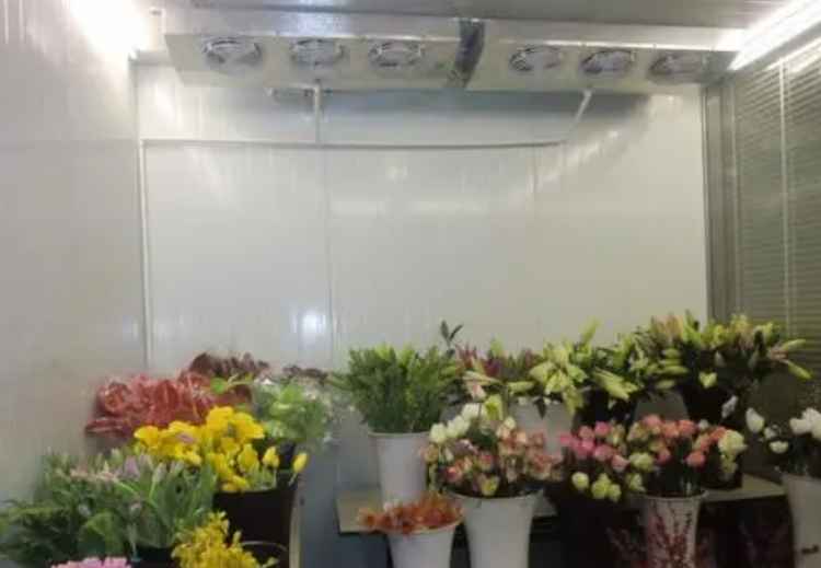 花卉小型冷庫建設(shè)多少錢一平方 花卉小型冷庫建設(shè)多少錢一平方