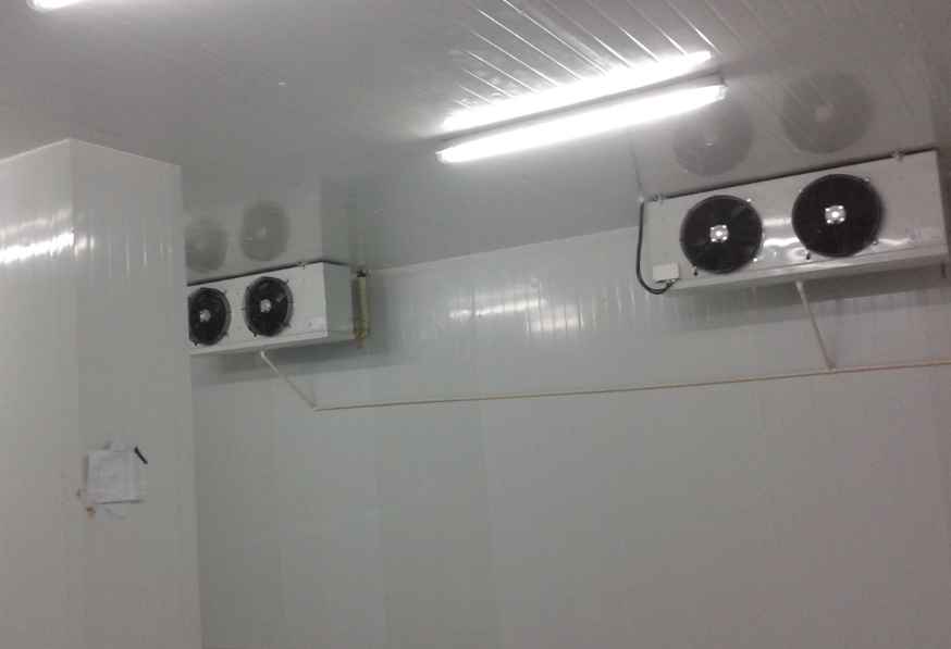 上海地區(qū)小型保鮮冷庫(kù)建造費(fèi)用多少錢？