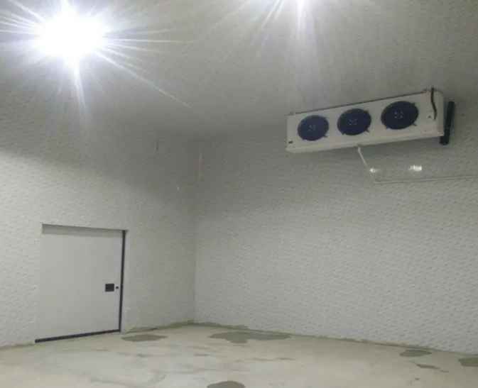 如何建造用于儲存蘋果的冷庫？