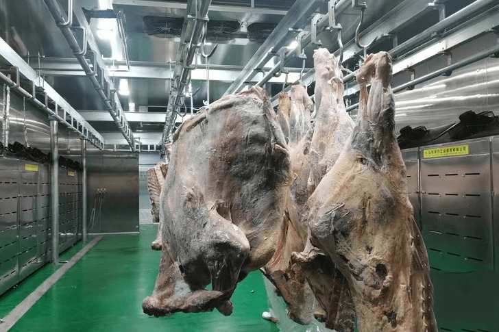 建一個(gè)3000噸羊肉冷庫需要多少錢 建一個(gè)3000噸羊肉冷庫需要多少錢